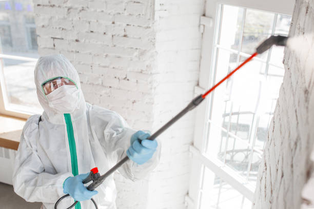 Forensic Mold Investigation in Preston, IA