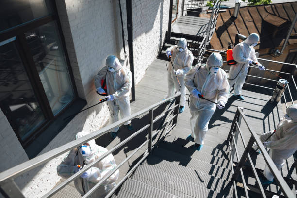 Best Mold Remediation for Rental Properties  in Preston, IA