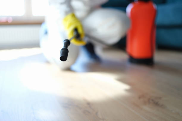 Best Industrial Mold Remediation  in Preston, IA