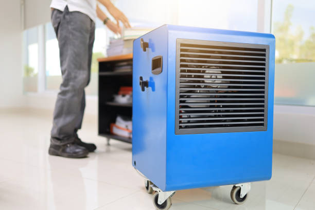 Best Forensic Mold Investigation  in Preston, IA