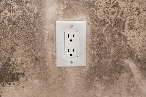 Best Mold Remediation for Vacation Homes  in Preston, IA