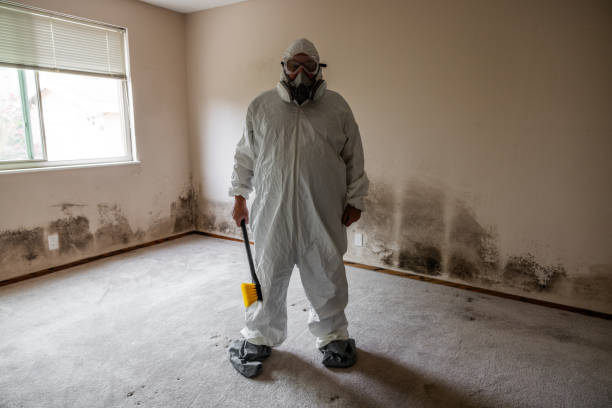 Mold Remediation for Rental Properties in Preston, IA